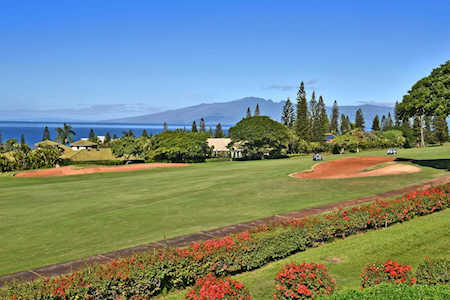 50 Puu Anoano St #3104 Lahaina, HI 96761