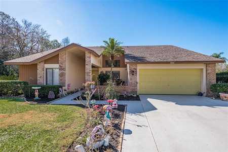 5924 Windermere Dr Palm Harbor, FL 34685