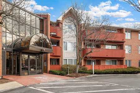 100 Rosemary Way #315 Needham, MA 02494