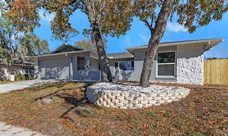 3515 Glossy Ibis Ct Palm Harbor, FL 34683