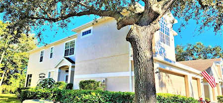 3655 Country Pointe PLACE Palm Harbor, FL 34684