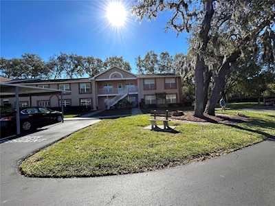 6630 Spring Flower Dr #14 New Port Richey, FL 34653