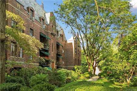 20 N Broadway #L255 White Plains, NY 10601