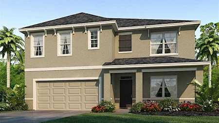 33391 Apricot Tree Ct Wesley Chapel, FL 33543