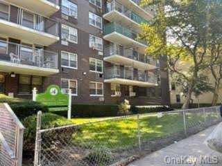 2550 Olinville Ave #8M Bronx, NY 10467