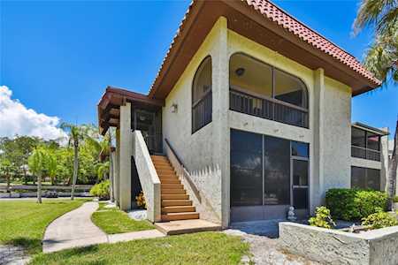 1003 S Bayshore Blvd #202 Safety Harbor, FL 34695
