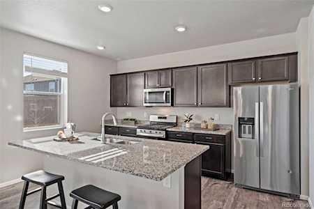 1677 Gratton Ct Windsor, CO 80550