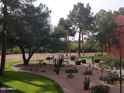 12212 N Paradise Village Parkway #220 Phoenix, AZ 85032