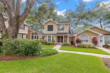 3046 Pointer Dr Palm Harbor, FL 34683