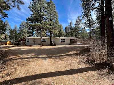 72 Robin Drive Pagosa Springs, CO 81147