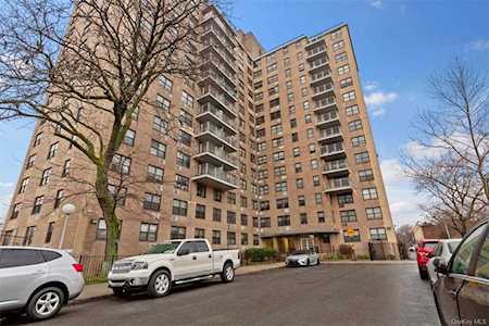1966 Newbold Avenue #1003 Bronx, NY 10472