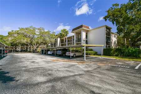 870 Virginia St #312 Dunedin, FL 34698