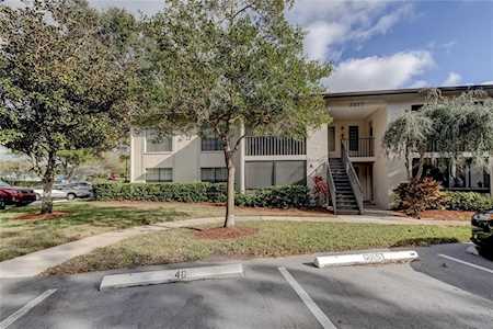 3377 Crystal Ct E #E Palm Harbor, FL 34685