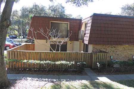 2611 2nd Ct Palm Harbor, FL 34684