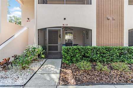 3021 Bonaventure CIRCLE #102 Palm Harbor, FL 34684