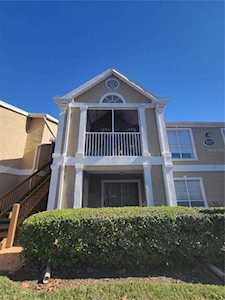 9481 Highland Oak Dr #1807 Tampa, FL 33647