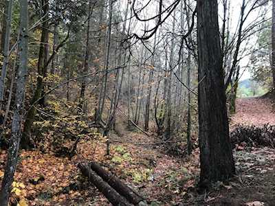 4355 Wards Creek Rd Rogue River, OR 97537