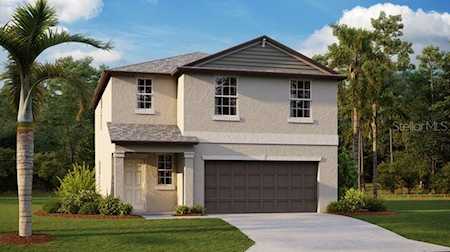 10003 Calypso Orchid Ct Riverview, FL 33578