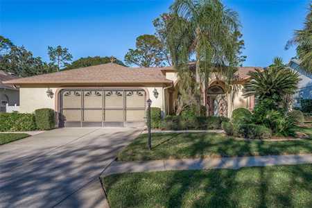 6116 Hidden Trail Ct New Port Richey, FL 34655