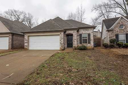 1982 Olive Bark Dr Memphis, TN 38134