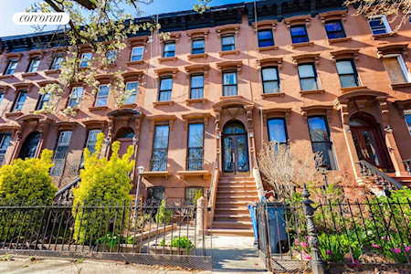 243 Mac Donough St Brooklyn, NY 11233