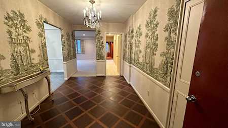 4301 Massachusetts Ave NW #1003 Washington, DC 20016