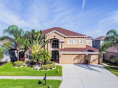 17907 Souter Ln Land O Lakes, FL 34638