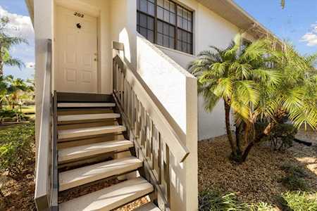 3366 Mermoor Dr #1203 Palm Harbor, FL 34685