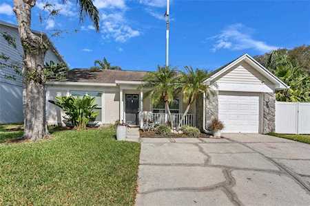 10139 Cedar Dune Dr Tampa, FL 33624