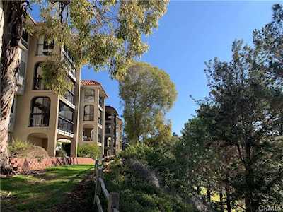 3243 San Amadeo #2D Laguna Woods, CA 92637