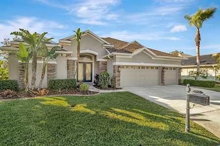 1701 Nodding Thistle Dr New Port Richey, FL 34655
