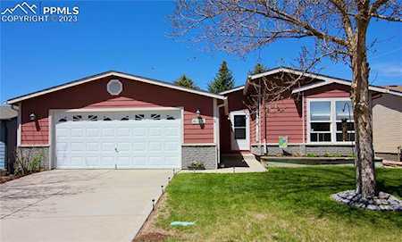 4695 Pine Marten Point Colorado Springs, CO 80922