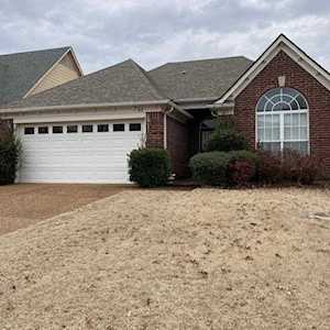305 Dogwood Springs Dr Oakland, TN 38060