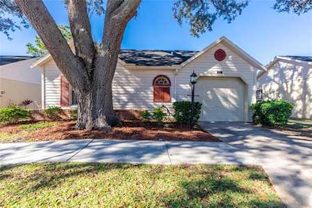 4907 Cathedral Ct New Port Richey, FL 34655