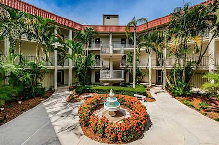 2700 Bayshore Blvd #2203 Dunedin, FL 34698