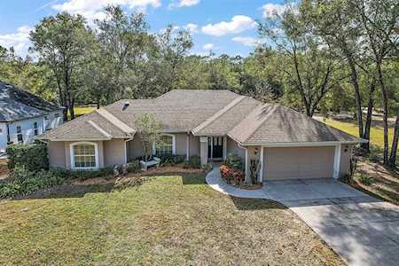 25652 Timuquana Dr Sorrento, FL 32776