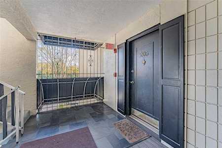2302 S Manhattan Ave #205 Tampa, FL 33629