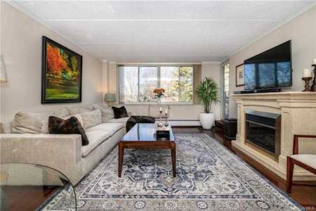 703 Pelham Road #315 New Rochelle, NY 10805