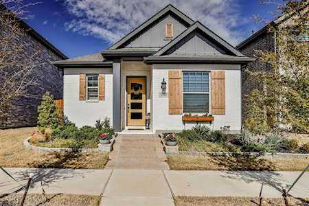 1515 Silver Marten Trail Arlington, TX 76005
