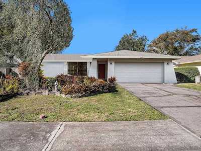 506 Constitution Dr Tampa, FL 33613
