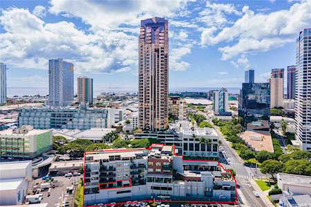 720 Kapiolani Boulevard #304 Honolulu, HI 96813