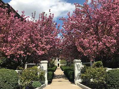 423 Washington #1 Brookline, MA 02445