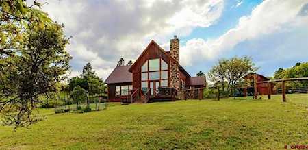 667 Soaring Eagle Court Pagosa Springs, CO 81147
