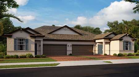 10043 Campanula Ct Land O Lakes, FL 34637