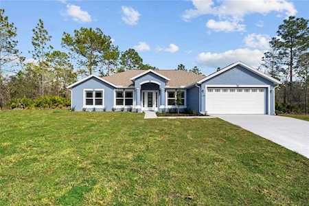 11165 Little Gull Weeki Wachee, FL 34614