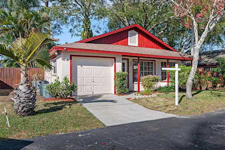 2653 Midland Ct Palm Harbor, FL 34684