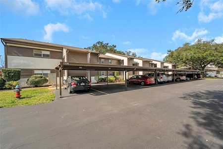 4041 Passport Ln #205 New Port Richey, FL 34653