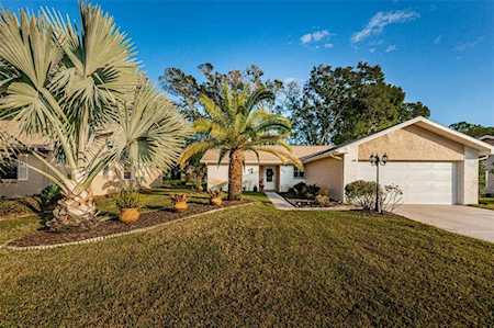 1643 E Dorchester Ct Palm Harbor, FL 34684