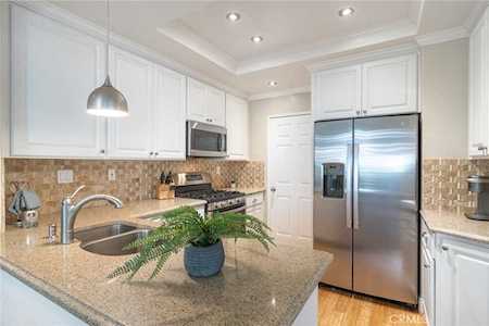 163 Cinnamon Teal Aliso Viejo, CA 92656