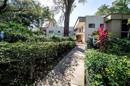 3300 Fox Chase CIRCLE N #203 Palm Harbor, FL 34683